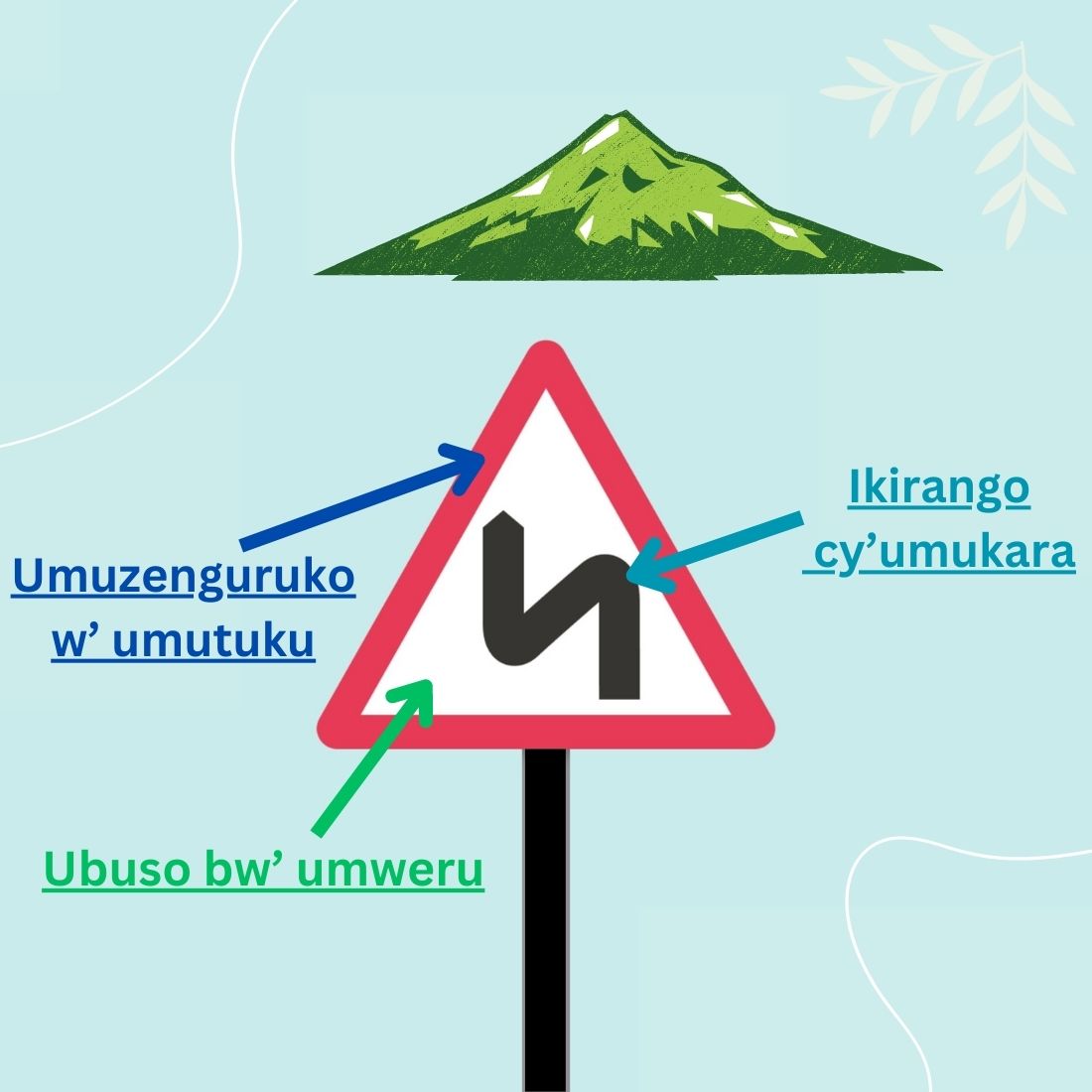 Quiz-Blog - Learning & Quizzing